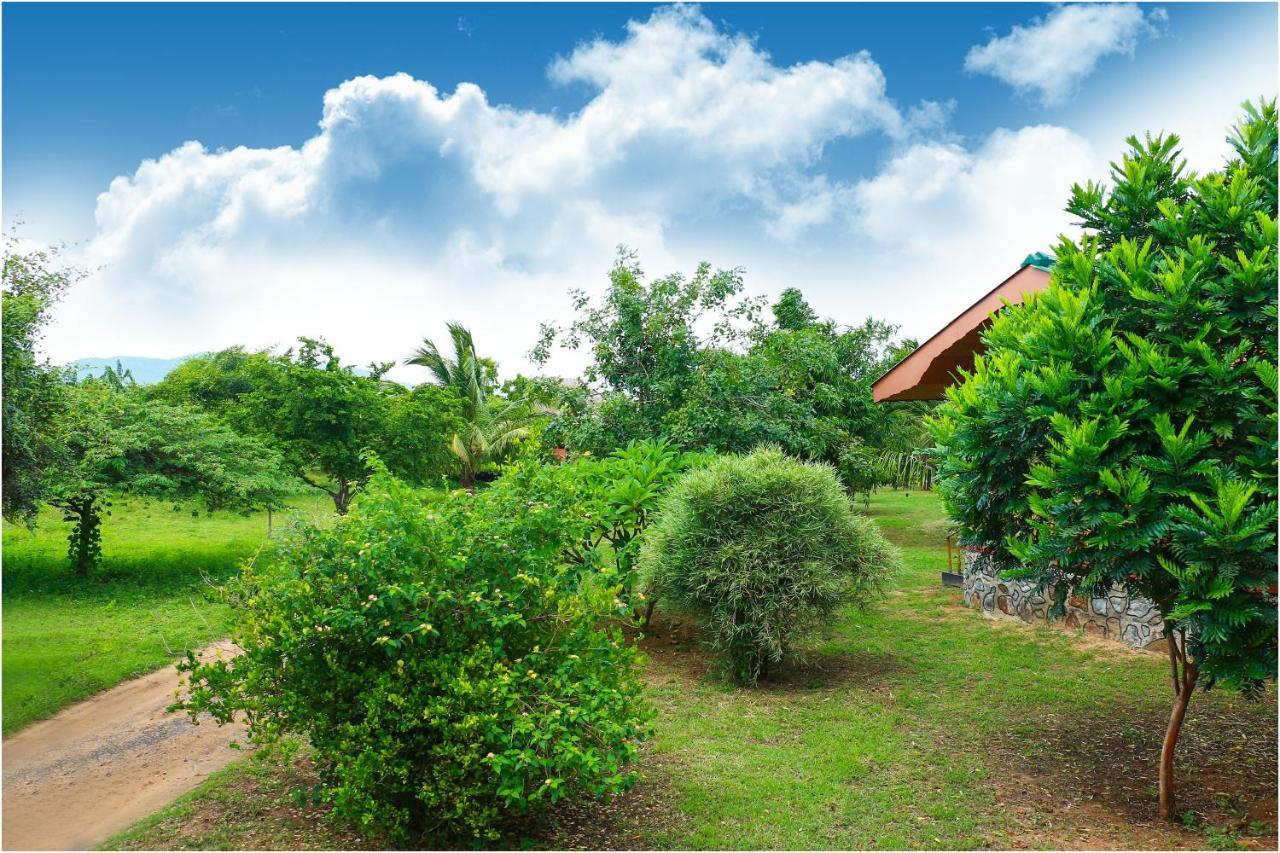 Yala Peace Cottages Tissamaharama Exterior foto